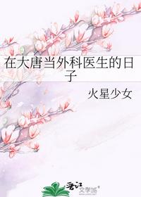 在大唐当外科医生的日子